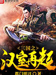 三国之汉室再起-都门明月-灵小伴