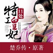 11处特工皇妃|楚乔传原著