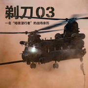160th特种作战航空团|营救“孤独的幸存者”|战场亲历-艾伦·C·麦克-不归点