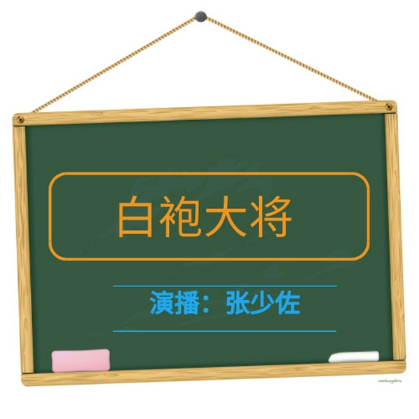 张少佐评书：白袍大将|30讲