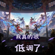 我真的很低调了|大佬穿越游戏江湖|言生领衔多人有声剧-佚名-一只言生