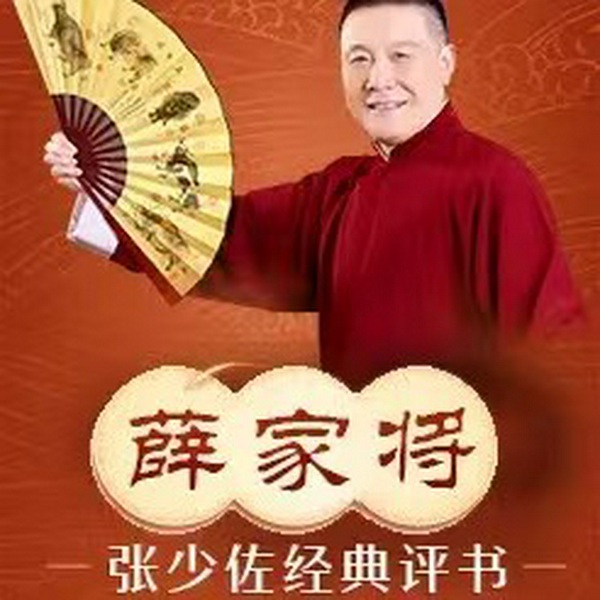 张少佐评书：薛家将|155讲