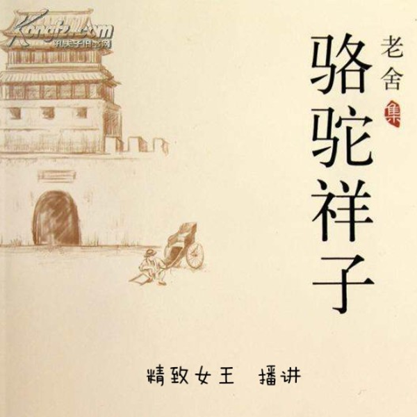 老舍精选集|离婚