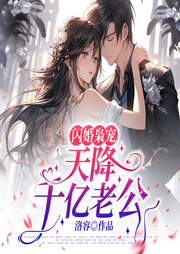 闪婚枭宠，天降千亿老公-洛容-点众听书