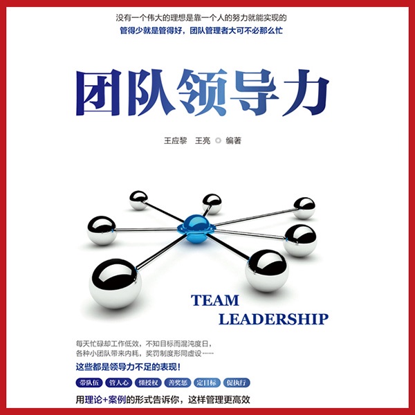 团队领导力