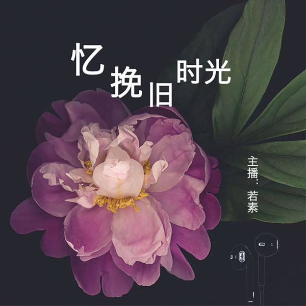 忆挽旧时光