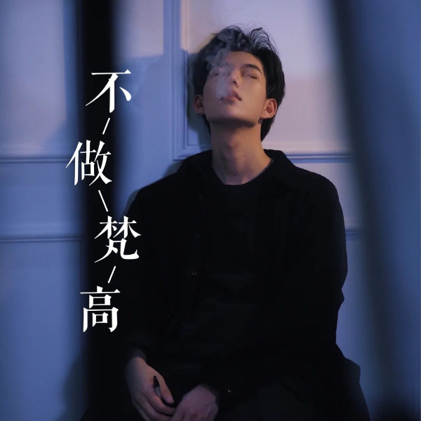 不做梵高