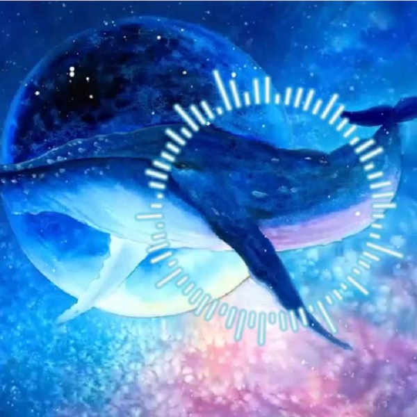 阿尔法|脑波|提高记忆力