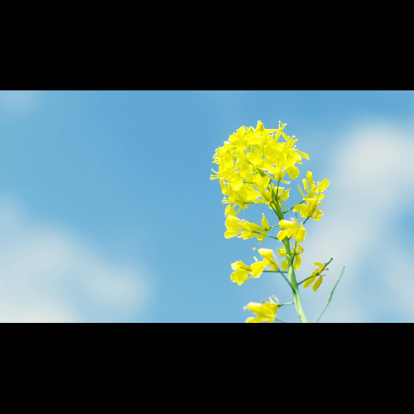 分享有趣的文字