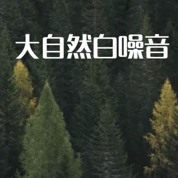 大自然5D真实音场 /放空心灵 /缓解压力 /深度睡眠