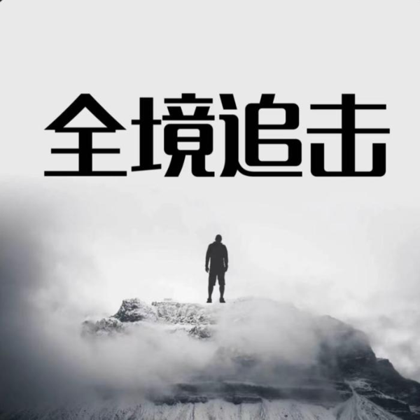 全境追击\悬疑推理精品有声小说