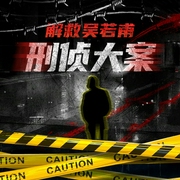刑侦大案：解救吴若甫纪实-佚名-播音知圣文化