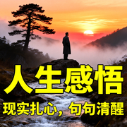 人生感悟：现实扎心，句句清醒-与光同行-书曌有声