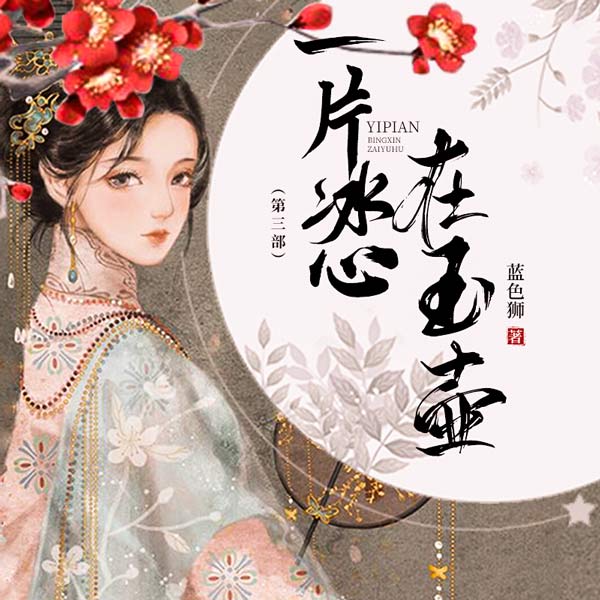 一片冰心在玉壶3