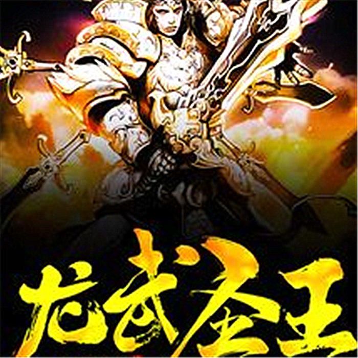 龙武圣王-佚名-主播王金
