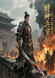 特种兵穿越之大宋亲王-小城山人-书虫