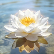 负面能量清除计划|莲师梵音深度净化指引-佚名-KANJIAN疗愈_静心助眠