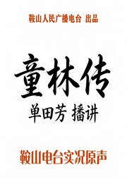 单田芳：童林传|短打武侠巅峰之作-佚名-鞍山广播评书