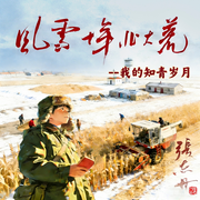 我的知青岁月|风雪十年北大荒-张志丹-奕伶留声