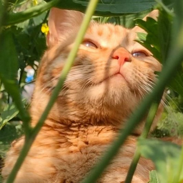朗读一下