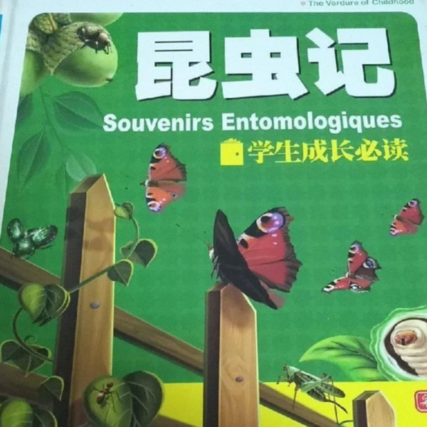 昆虫记 | 法布尔的昆虫王国