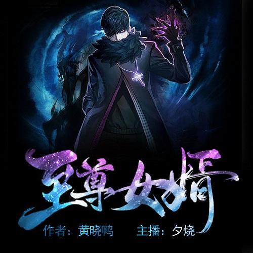 至尊女婿-佚名-黑岩听书