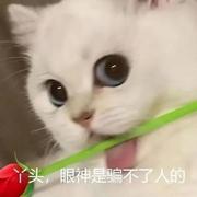 總有適合你的一句心里話-佚名-風(fēng)早爽子