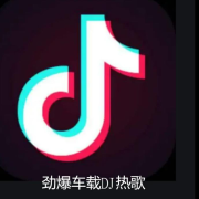 DJ热歌精选|车载DJ热歌 抖音劲爆DJ--落雪有爱-
