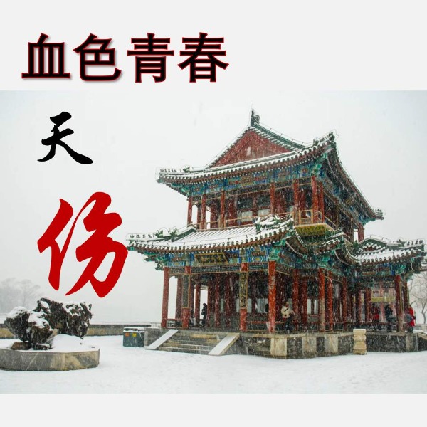 一部大变革时代的忏悔录~天伤