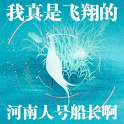我真是飞翔的河南人号船长啊|上部完结-南山行者-山不辞高