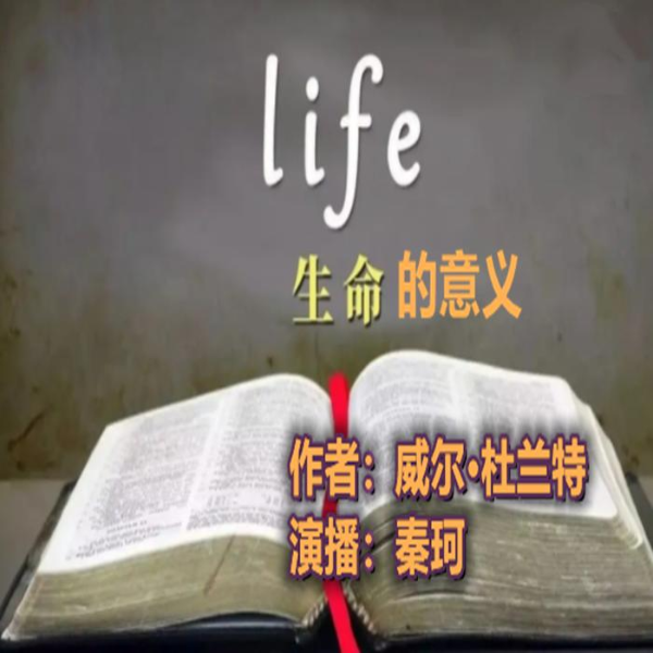 生命的意义 威尔·杜兰特哲学四部曲：写给普通人的哲学通识课