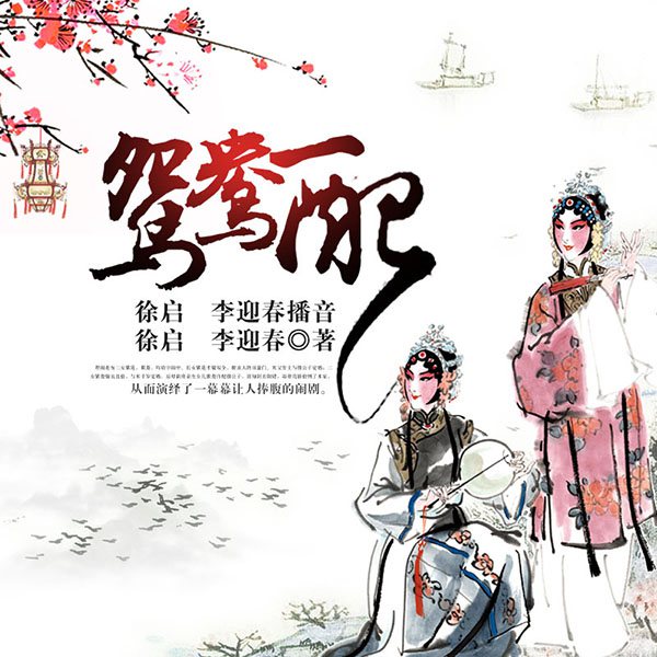 鸳鸯配|电视剧