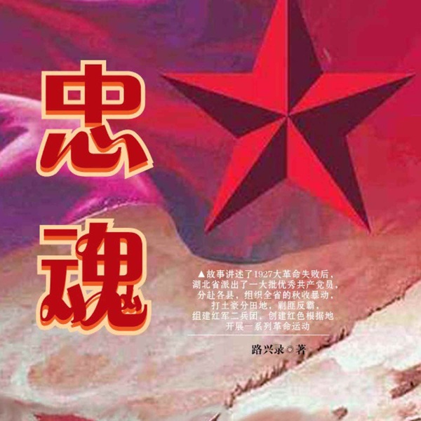 忠魂|秋收起义前奏|全线反攻大获全胜|历史、军事评书