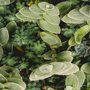 深度睡眠|阿尔法脑波催眠音乐-佚名-水