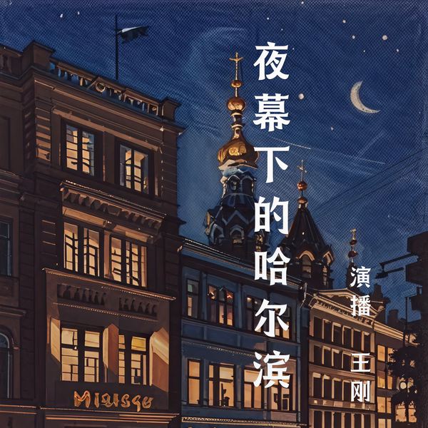 夜幕下的哈尔滨|王刚|精修版