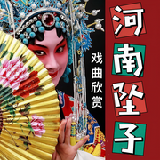 河南坠子|传统曲艺欣赏-佚名-酒酒有声