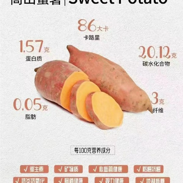 隆美栗园