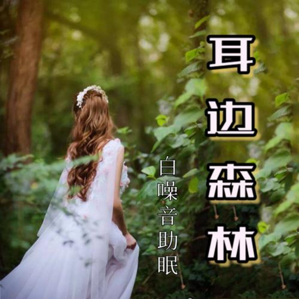 耳边森林|大自然白噪音|静心+助眠