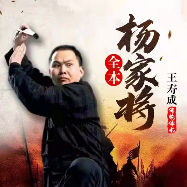 杨家将九代英雄传|王寿成评书