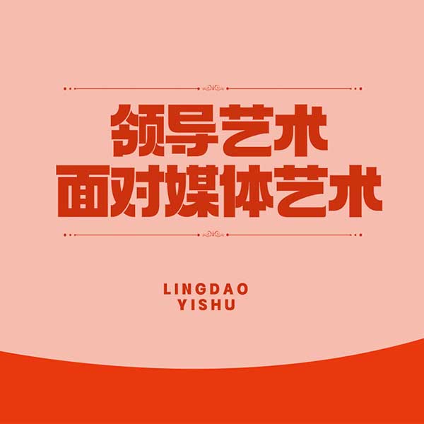领导艺术—面对媒体艺术