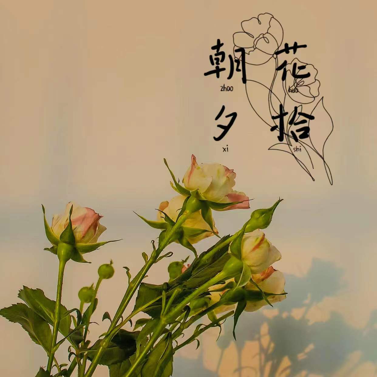 朝花夕拾-惠聲惠影_hh-惠聲惠影_hh-惠聲惠影_hh