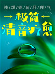 极简清音疗愈|纯颂钵疏肝理气-洪宇-鲸鱼有声书场