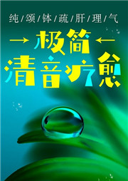极简清音疗愈|纯颂钵疏肝理气-洪宇-鲸鱼有声书场