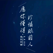 PIGGYHERO--精彩阿雕-