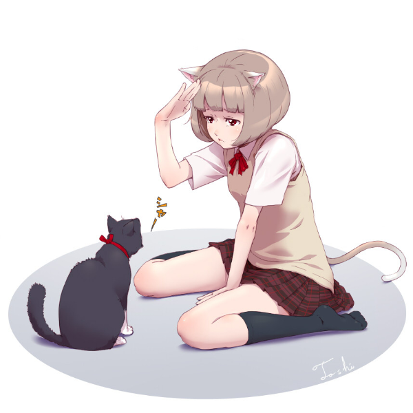 儿童故事小总结-猫朵朵