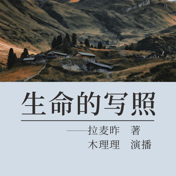 生命的写照
