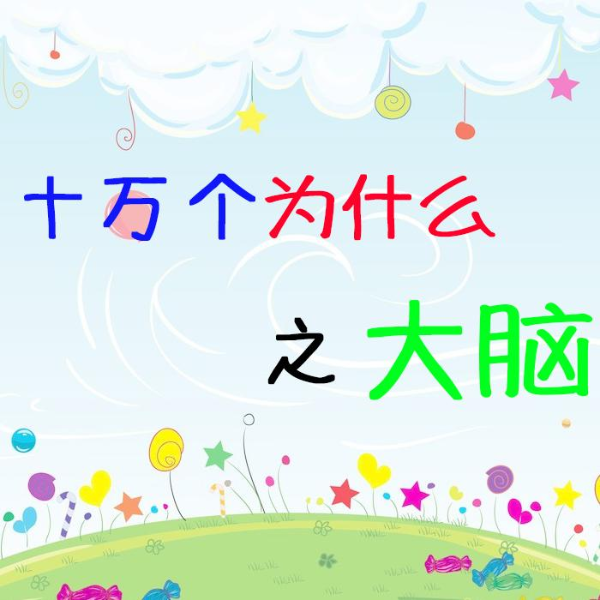 十万个为什么之大脑