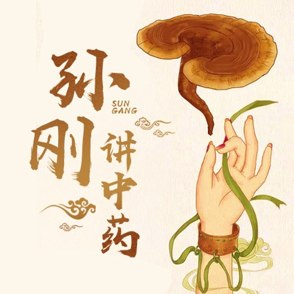 孙刚讲中药