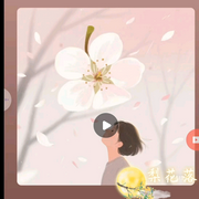 刀郎歌曲|梨花落》深度解读-佚名-七龙珠
