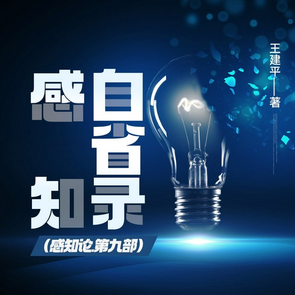 感知自省录(感知论.第九部)|王建平|开山之作